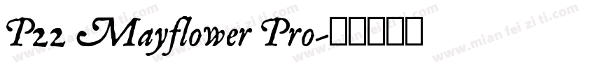 P22 Mayflower Pro字体转换